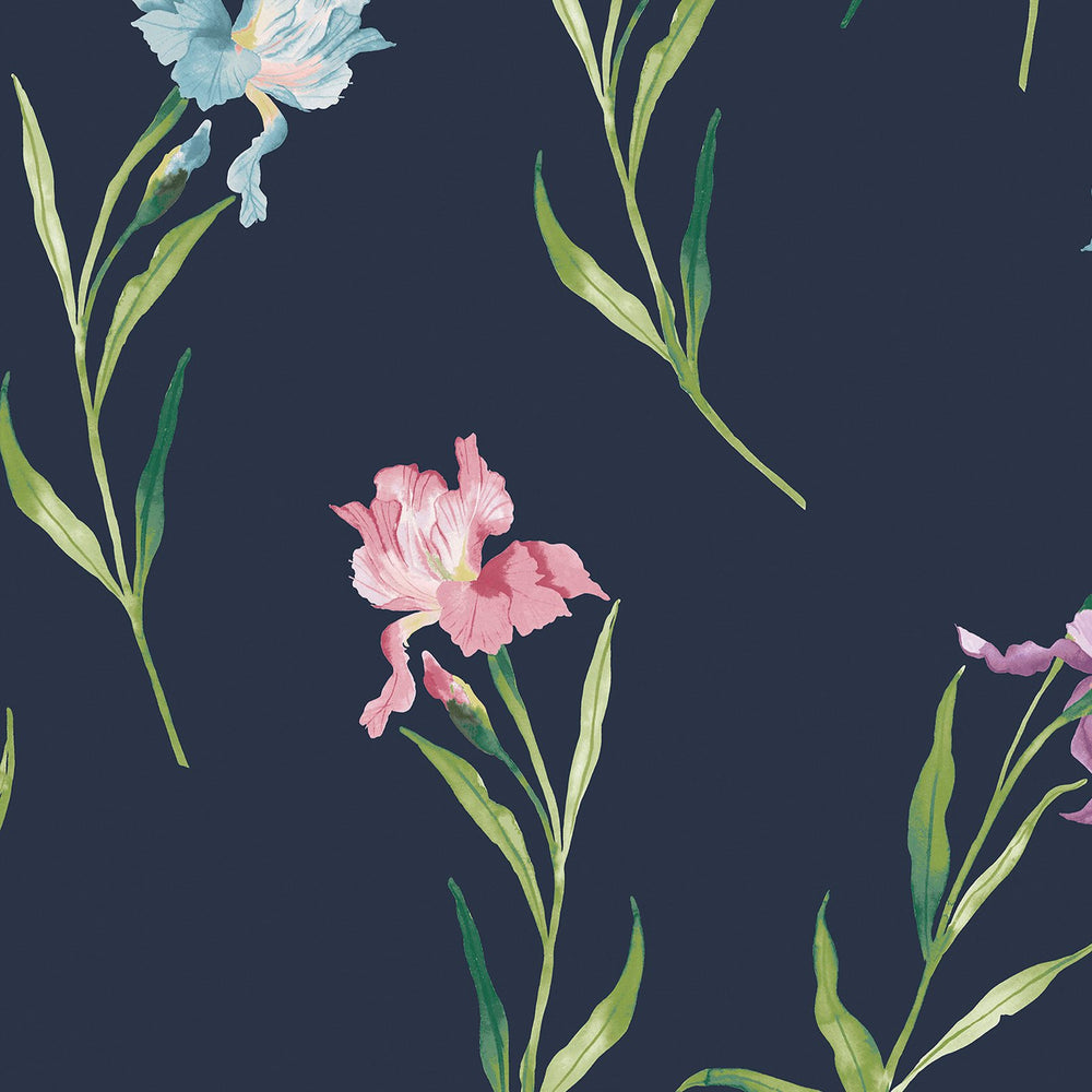 Laura Ashley Hawling Irises Midnight Seaspray  Wallpaper