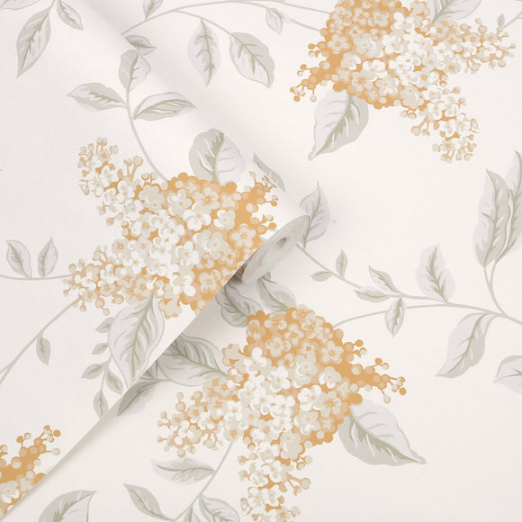 Laura Ashley Laura Ashley Portland Apricot  Wallpaper