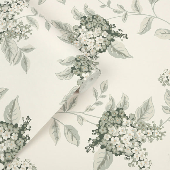 Laura Ashley Laura Ashley Portland Apricot  Wallpaper