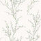 Pussy Willow Wallpaper Sample Swatch  option Sage Green Sample