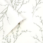 Pussy Willow Wallpaper