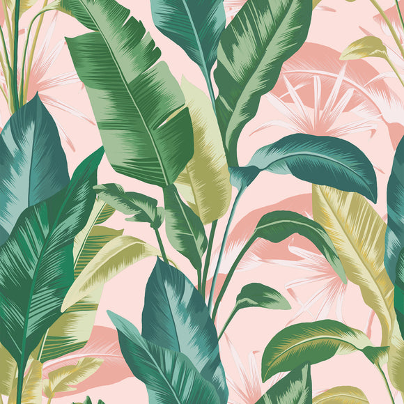 Envy Leaf It Out Midnight Wallpaper