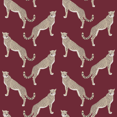 Nicole Miller Guepardo Wallpaper