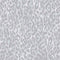 Nicole Miller Laid Back Leopard Wallpaper  option Oyster