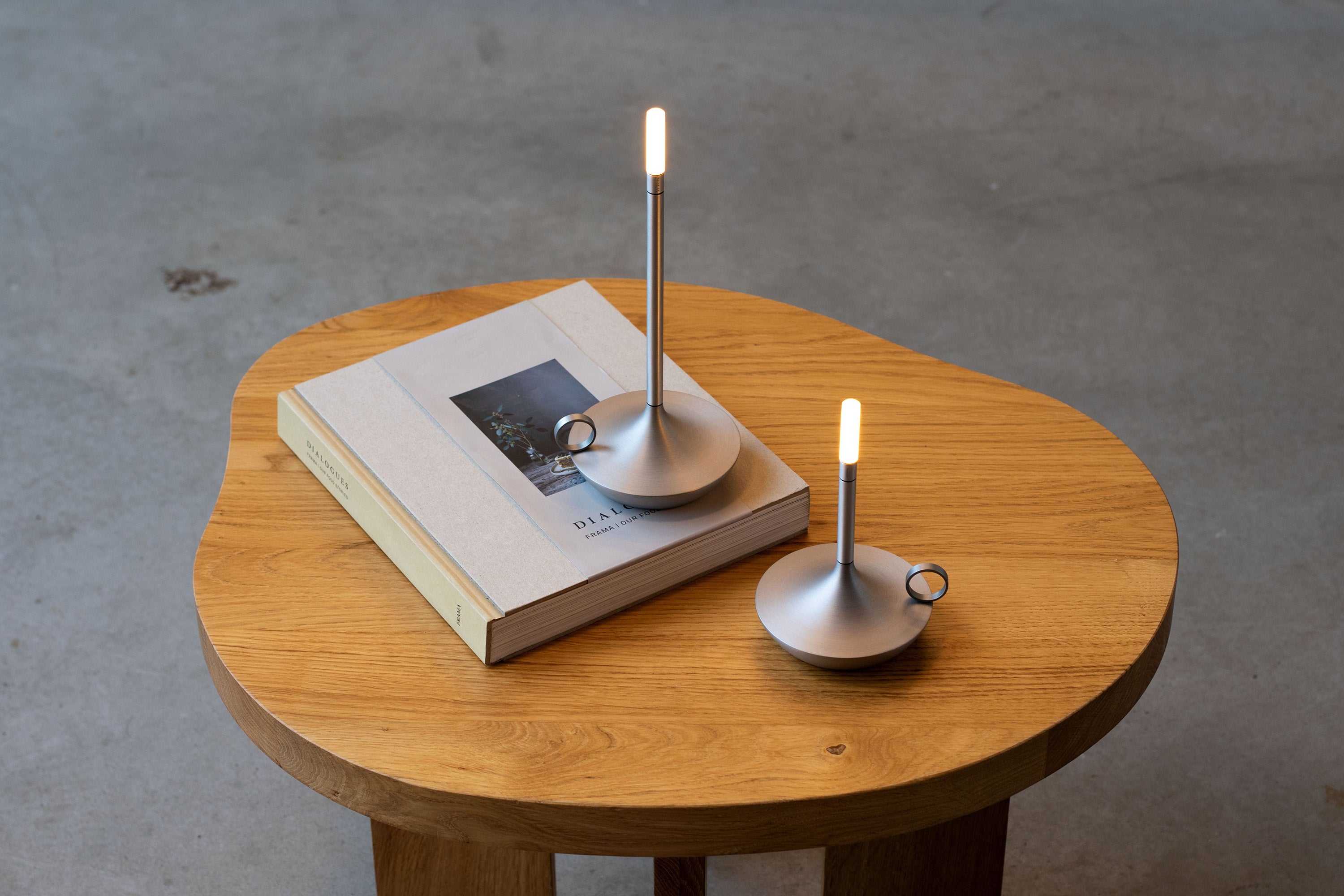 Graypants Wick Portable Table Lamp - 2Modern