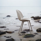 Beetle Plastic Dining Chair