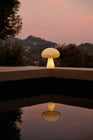 Obello Table Lamp