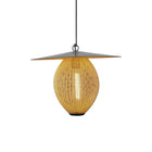 Satellite Outdoor Pendant Light