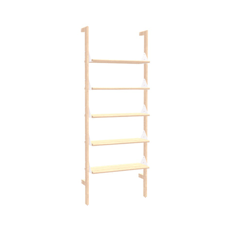 Branch-1 Shelving Unit