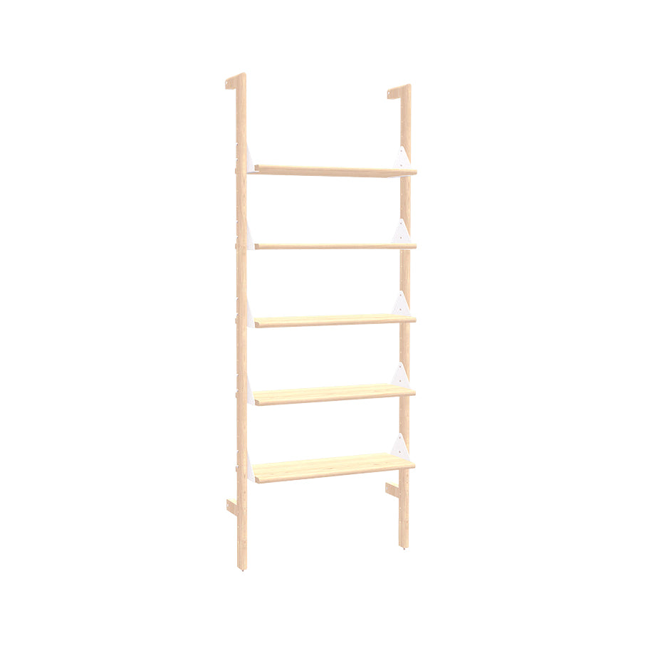 Branch-1 Bookshelf