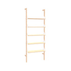 Branch-1 Shelving Unit