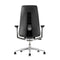 Fern Leather Office Chair  option Aluminum with Lumbar