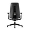Fern Leather Office Chair  option Plastic with Lumbar