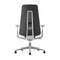 Fern Mesh Office Chair  option Plastic with Lumbar