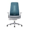 Fern Mesh Office Chair  option Without Forward Tilt