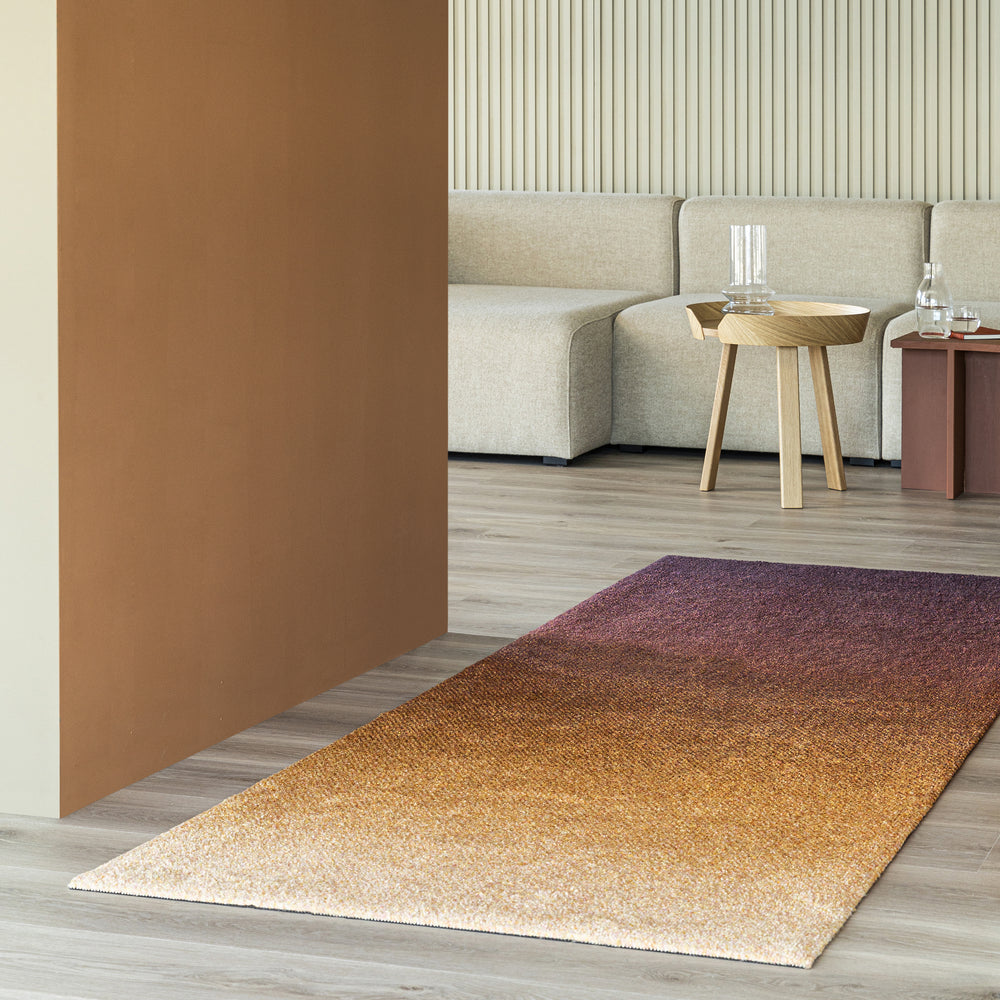 Dis Entrance Mat