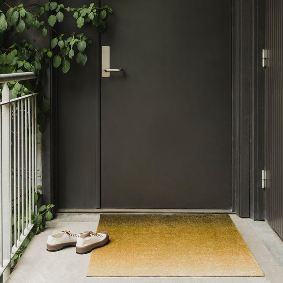 Dis Entrance Mat