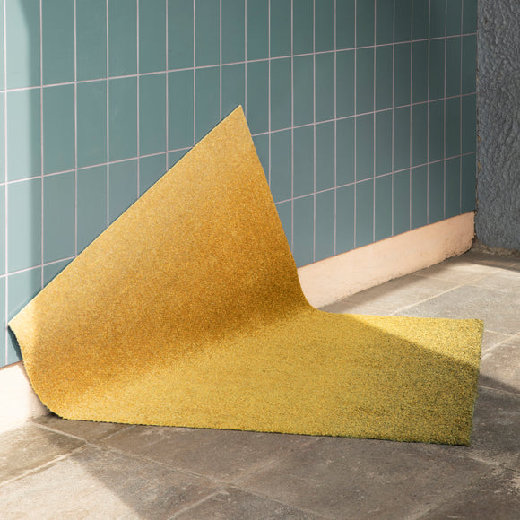 Dis Entrance Mat