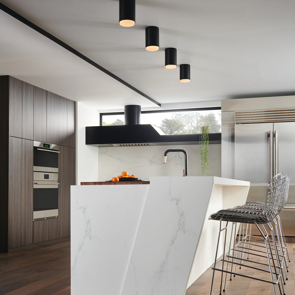 Cedric Flush Mount