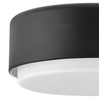 Cedric Flush Mount