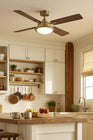 Collier LED Ceiling Fan