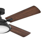 Collier LED Ceiling Fan