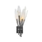 Nerine Bath Vanity Light  option Brushed Graphite