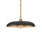 Sadie Pendant Light  option Black