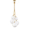 Skye Chandelier  option 6 Lights