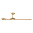 Swell Ceiling Fan