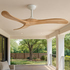Swell Ceiling Fan