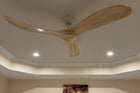Swell Ceiling Fan