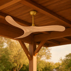 Swell Ceiling Fan