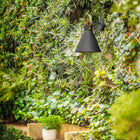Winnie Outdoor Wall Light