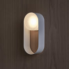 Oyster Wall Sconce