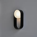 Oyster Wall Sconce