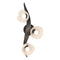 Mika Wall/Ceiling Light  option Black