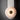 Snaps LED Wall Sconce