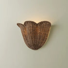 Ardonia Wall Sconce