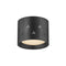 Edisto LED Flush Mount  option Distressed Bronze