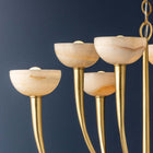 Maywood Chandelier