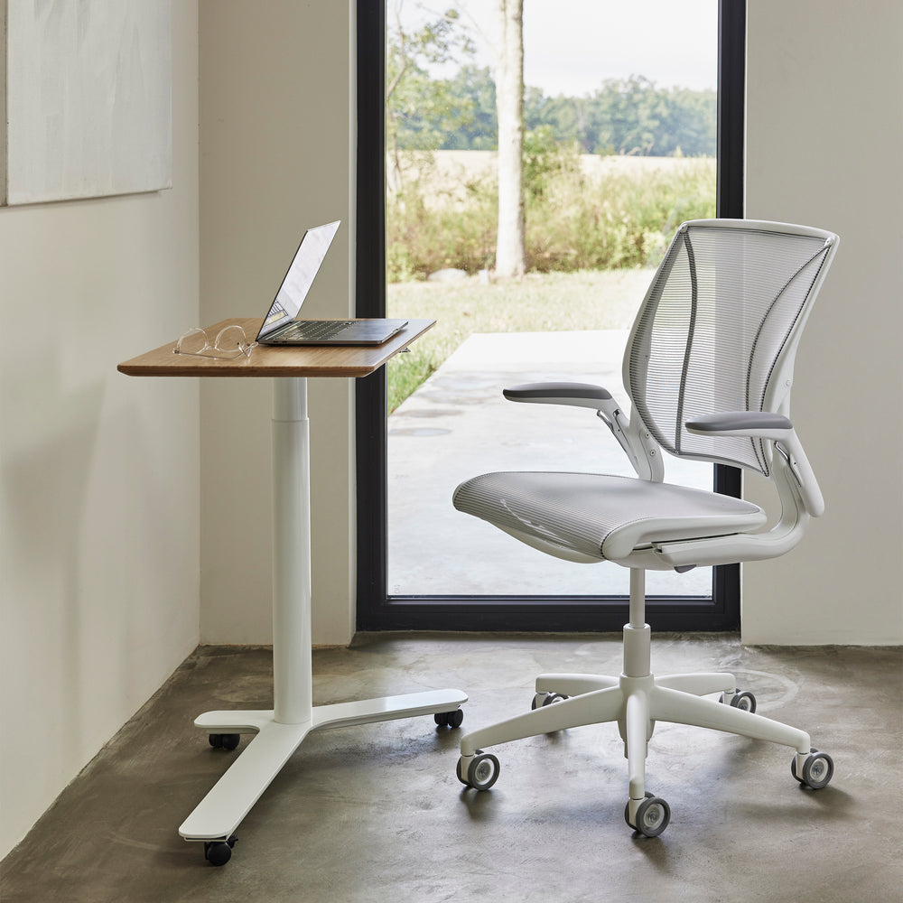 Diffrient World Task Chair