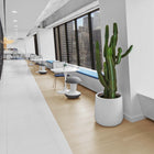 Ballo Stool
