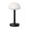 Bug Outdoor Portable Table Lamp  option Black Frosted