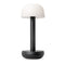 Two Outdoor Portable Table Lamp  option Black Frosted