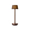 Air Indoor/Outdoor Portable Table Lamp  option Bronze / Brown Linen