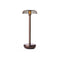 Air Indoor/Outdoor Portable Table Lamp  option Bronze / PC Smoked