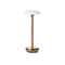 Air Indoor/Outdoor Portable Table Lamp  option Gold / PC Frosted