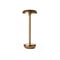 Air Indoor/Outdoor Portable Table Lamp  option Gold