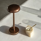 Air Indoor/Outdoor Portable Table Lamp